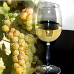 Vino trebbiano